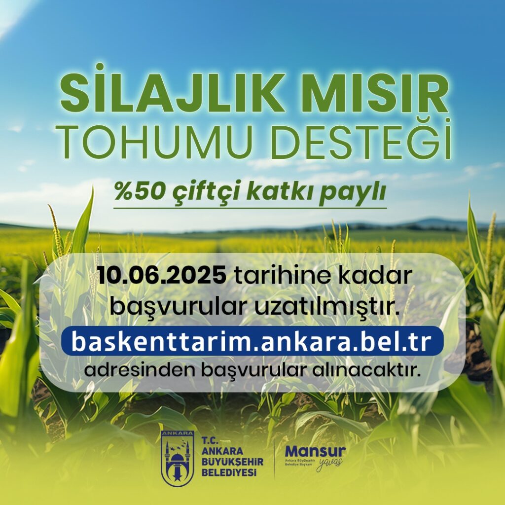 Ankara Büyükşehir Belediyesinden Silajlık Mısır Tohumu Desteği